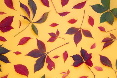 Sonbahar Yaprakları