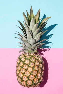 Pembe ve mavi arkaplanda gün ışığında palmiye yaprakları