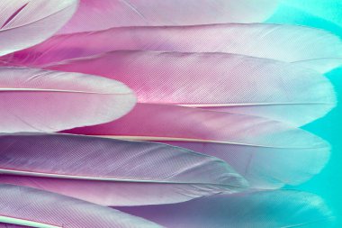 Pembe tüyler dokuyu kapatır