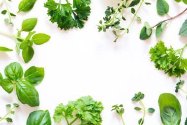 Beyaz arka planda taze bitkiler