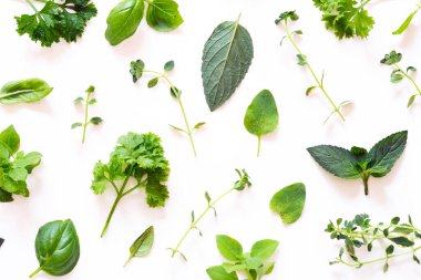 Beyaz arka planda taze bitkiler