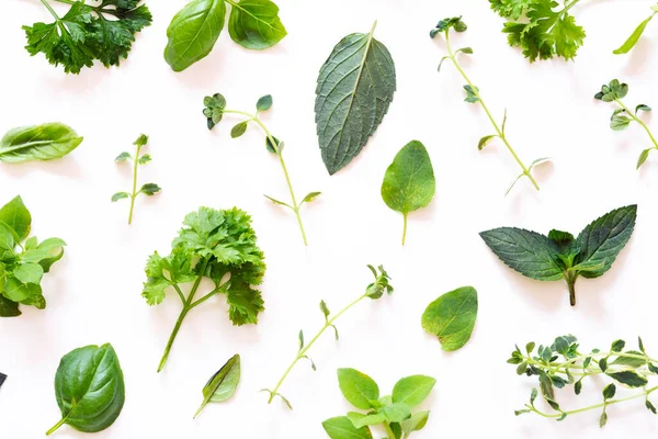 Beyaz arka planda taze bitkiler