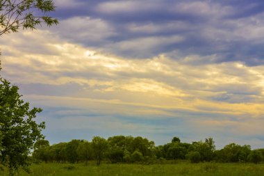 ormana karşı kesilmiş