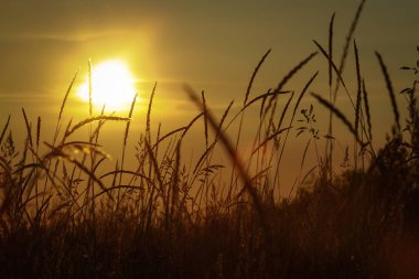 Yaz sonunda gün batımı