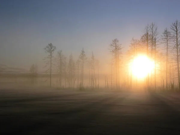 Winter dawn on the forest lake