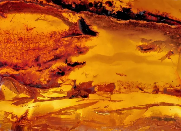 波罗的海琥珀 树脂部分 化石百万年 — 图库照片