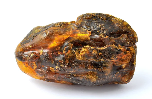 Baltik Amber Resin Segmen Fosil Jutaan Tahun — Stok Foto