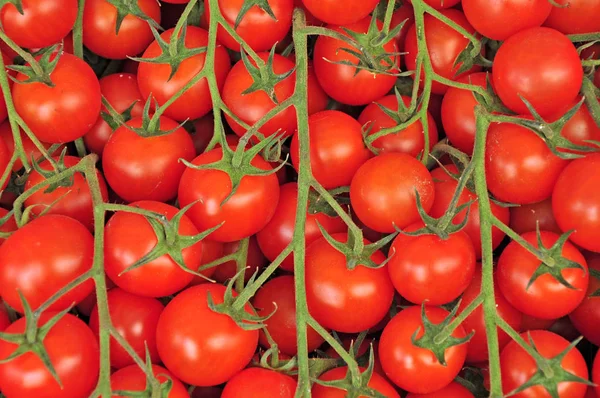Ortiga Markt Syrakus Tomaten Auf Zweigen Stockfoto