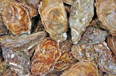 Ortiga Market , Syracuse, Balık ve deniz ürünleri, denizden hediye