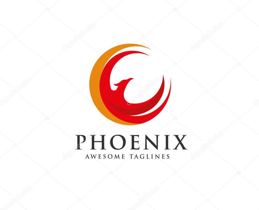 Phoenix circle logo vector, circle eagle head vector icon logo template