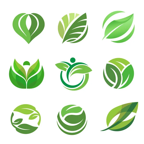 Sağlıklı Element Vektör Logosu Konsepti Için Yeşil Yaprak Ekolojisi Tasarımı — Stok Vektör
