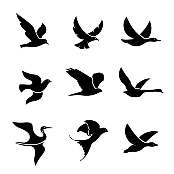 Birds in flight - Action analysis for animation