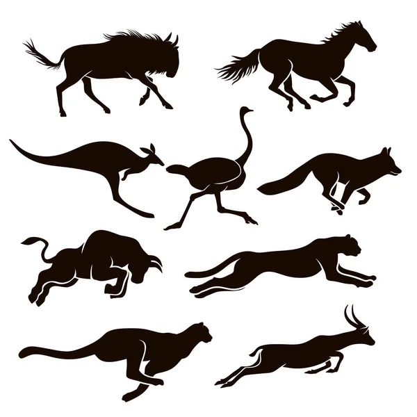 Collection Silhouettes Vectorielles Animalières — Image vectorielle