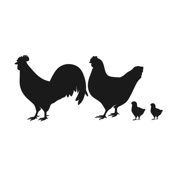 Farm Animal Silhuett Svart Vit Bakgrund Kyckling Silhuetter Isolerade Vit — Stock vektor