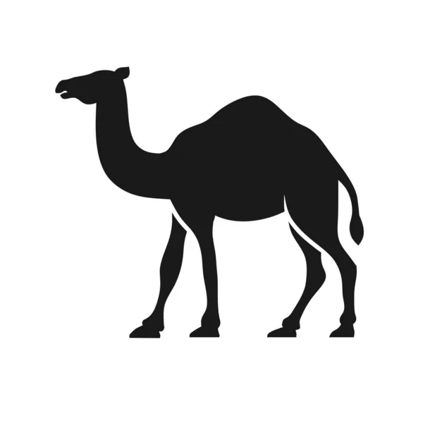 Camel Grafisch Silhouet Logo Ontwerp Vector — Stockvector