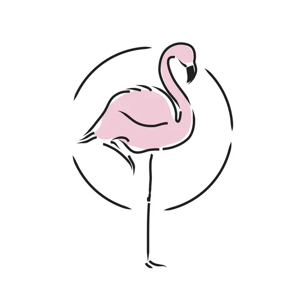 Flamingo Marad Egyik Lábát Vektor Illusztráció — Stock Vector