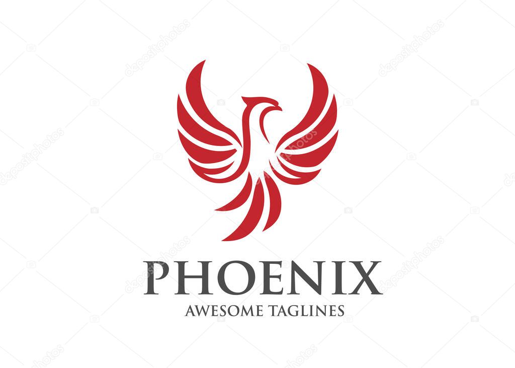 best phoenix bird logo design,luxury phoenix logo concept,  phoenix vector logo