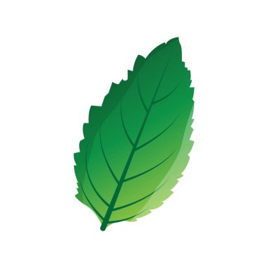 Yeşil Yaprak logo vektörü doğal bitki tasarımı ikon yaprak şablonu çizimi