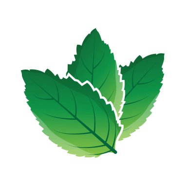Yeşil Yaprak logo vektörü doğal bitki tasarımı ikon yaprak şablonu çizimi