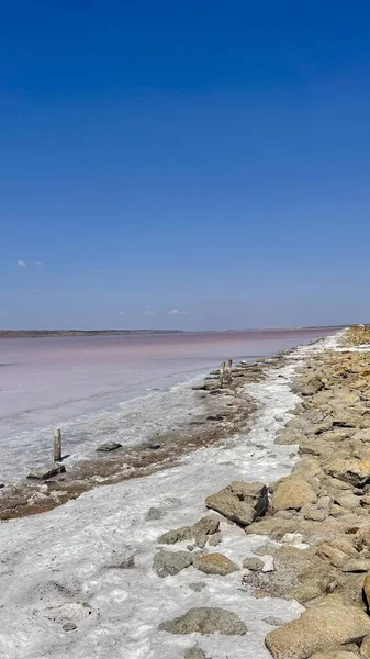 Doğal haliyle tuzlu bataklık. Tuz çıkarmanın doğal bir yolu. Pembe tuz bataklığı. Estuary ve tuz çıkarma. Doğal haliyle tuzlu bataklık. Tuz çıkarmanın doğal bir yolu. Tuza maruz kalmış odun. Nehirdeki tuzlu bataklıkta odun.