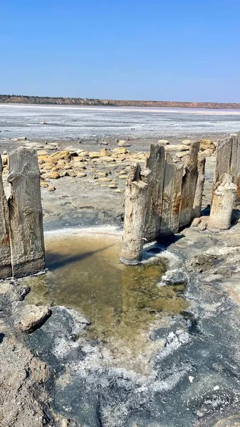 Doğal haliyle tuzlu bataklık. Tuz çıkarmanın doğal bir yolu. Pembe tuz bataklığı. Estuary ve tuz çıkarma. Doğal haliyle tuzlu bataklık. Tuz çıkarmanın doğal bir yolu. Tuza maruz kalmış odun. Nehirdeki tuzlu bataklıkta odun.
