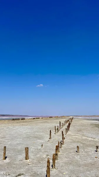 Doğal haliyle tuzlu bataklık. Tuz çıkarmanın doğal bir yolu. Pembe tuz bataklığı. Estuary ve tuz çıkarma. Doğal haliyle tuzlu bataklık. Tuz çıkarmanın doğal bir yolu. Tuza maruz kalmış odun. Nehirdeki tuzlu bataklıkta odun.