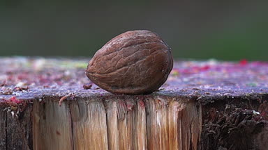 Ağır çekim bir çekiç devi tarafından ezilmiş gıda hazırlama