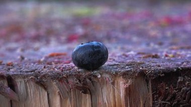 Ağır çekim bir çekiç devi tarafından ezilmiş gıda hazırlama