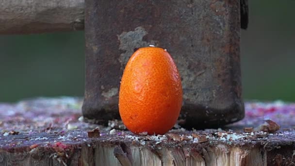 Preparación Alimentos Aplastados Por Martillo Gigante Cámara Lenta — Vídeo de stock