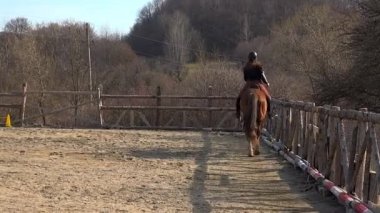 Genç kız binicilik dersleri dağ ortamında öğrenir