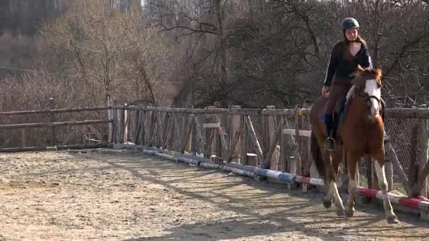 Adolescente Apprend Des Leçons Équitation Dans Environnement Montagne — Video