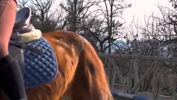 Adolescente Apprend Des Leçons Équitation Dans Environnement Montagne — Video