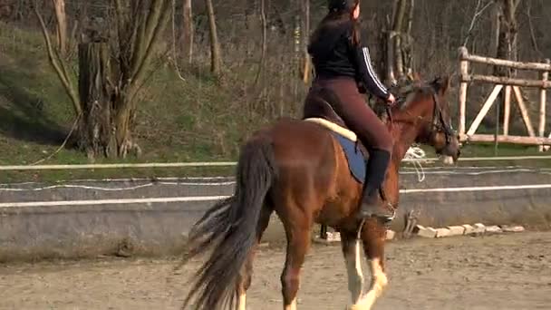 Adolescente Chica Aprende Montar Lecciones Entorno Montaña — Vídeos de Stock