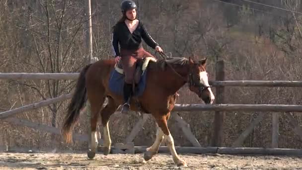 Adolescente Apprend Des Leçons Équitation Dans Environnement Montagne — Video