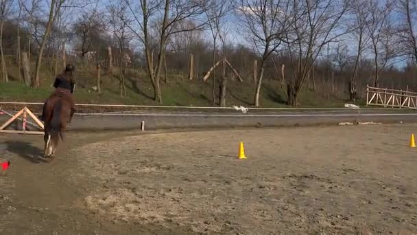 Adolescente Apprend Des Leçons Équitation Dans Environnement Montagne — Video