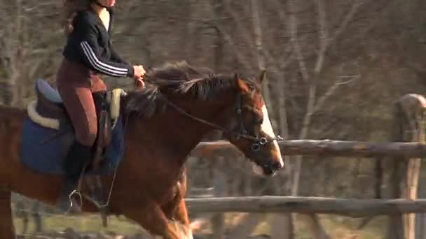 Teenager Girl Learns Riding Lessons Mountain Environment — Stock Video