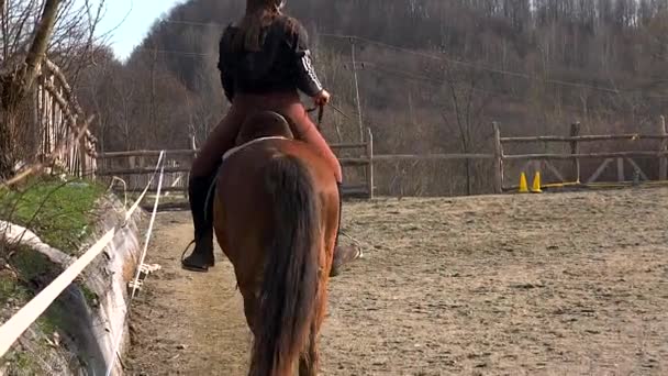 Dospívající Dívka Učí Lekce Jezdectví Horském Prostředí — Stock video