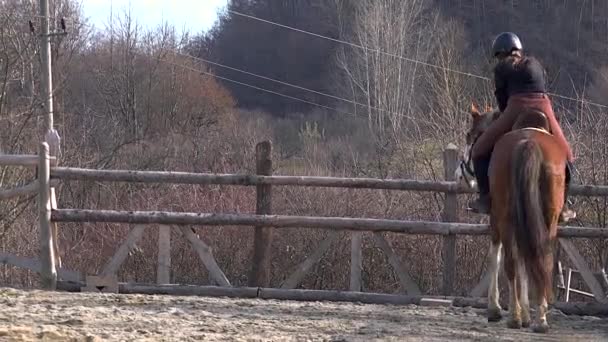 Dospívající Dívka Učí Lekce Jezdectví Horském Prostředí — Stock video