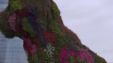 Bilbao, İspanya - 2017 yaklaşık: Guggenheim Müzesi Bilbao olduğunu Kanadalı-Amerikalı mimar Frank Gehry tarafından tasarlanmış modern ve Çağdaş Sanat Müzesi. Bilbao, Bask Bölgesi,