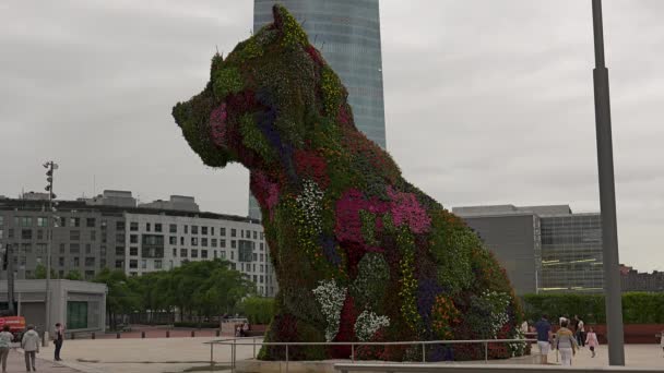 ビルバオ スペイン 2017 ビルバオ グッゲンハイム美術館 現代美術館 カナダ アメリカの建築家フランク ゲーリーによって設計されました バスク地方ビルバオ — ストック動画