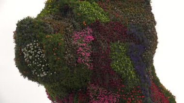 Bilbao, İspanya - 2017 yaklaşık: Guggenheim Müzesi Bilbao olduğunu Kanadalı-Amerikalı mimar Frank Gehry tarafından tasarlanmış modern ve Çağdaş Sanat Müzesi. Bilbao, Bask Bölgesi,