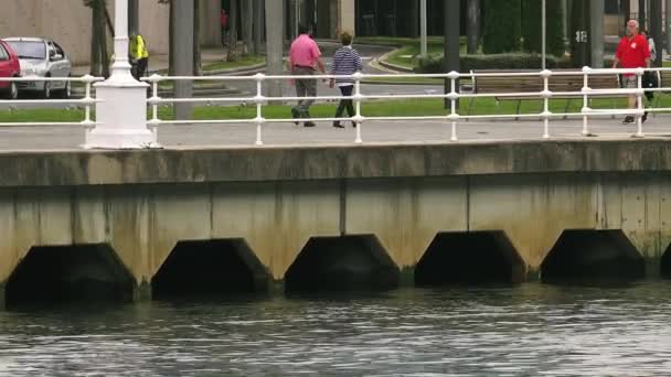 Bilbao España Circa 2017 Museo Guggenheim Bilbao Museo Arte Moderno — Vídeo de stock