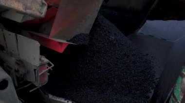 İşçilerin sıcak asfalt bir sokak yol inşaat işçileri ile kürek koruyucu üniformalı koyarsın. Sıcak günde çalışma.