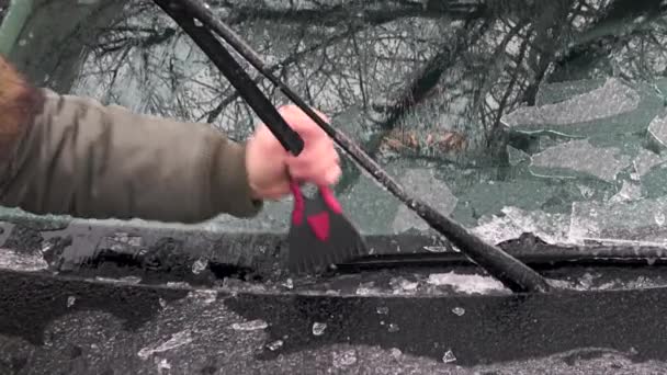 氷を削り 冬時間でのフロント ガラスの凍結クリーンアップ — ストック動画