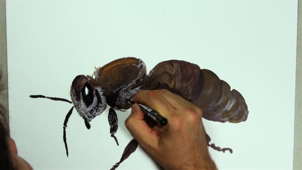 Une Main Dessine Insecte Abeille Sur Tableau Blanc Avec Crayon — Video