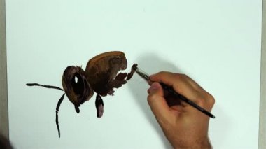 Bir el bir arı böcek bir beyaz tahta üzerinde zaman atlamalı bir kalemle çizer,
