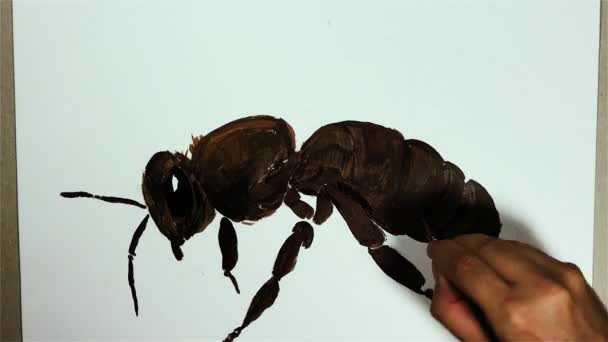 Una Mano Dibuja Insecto Abeja Una Pizarra Blanca Con Lápiz — Vídeos de Stock