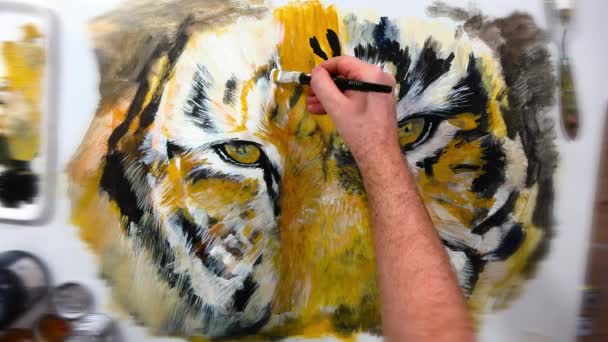 Pintura Artística Mão Olho Tigre Sessão Vídeo — Vídeo de Stock