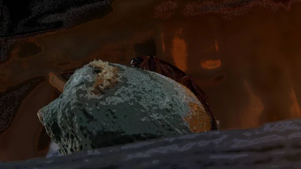 Hamamböceği mutfakta yiyecek üzerinde. Sorun hamamböcekleri yüzünden burada. Mutfakta yemek hamamböceği