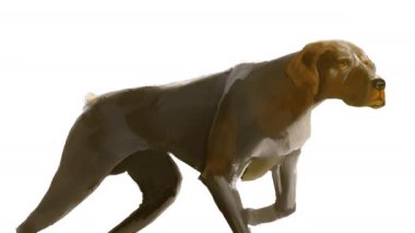 Sayısal çizimin zaman aşımına uğraması ve işaretçi Braque köpek, yeşil ekran, beyaz ve siyah ekran,